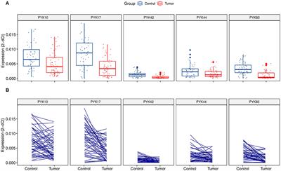 Pyknon-Containing Transcripts Are Downregulated in Colorectal Cancer Tumors, and Loss of PYK44 Is Associated With Worse Patient Outcome